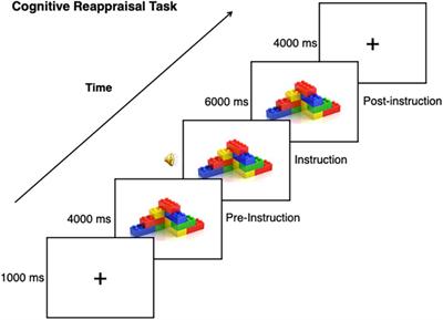 Effects of nonsocial and circumscribed interest images on neural mechanisms of emotion regulation in autistic adults